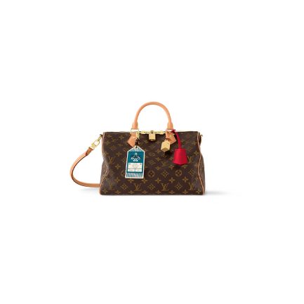 LV Speedy Soft 30 Crafty