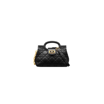 Dior Jolie Top Handle Mini Bag